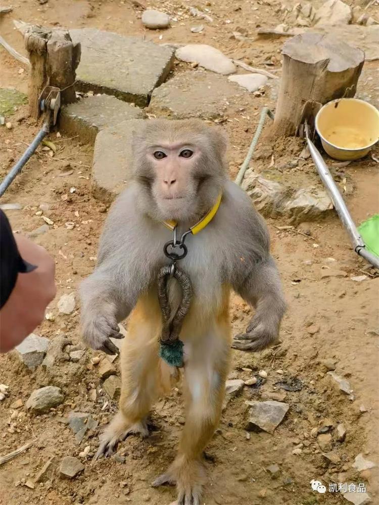 1659346123216809.jpg 103.jpg