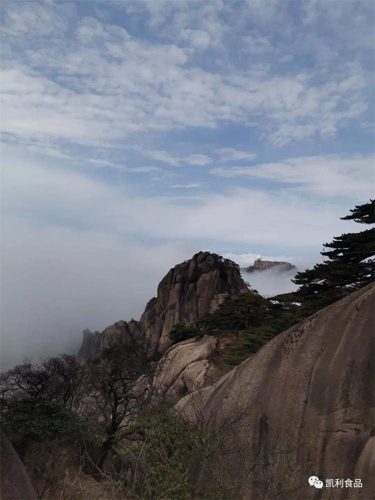 1659346007640542.jpg 66.jpg